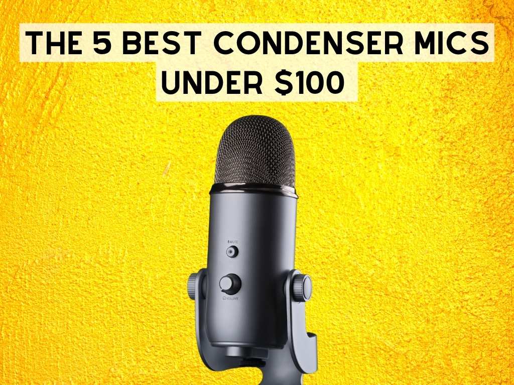 Mic best sale under 100