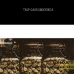 Trip Gang Records