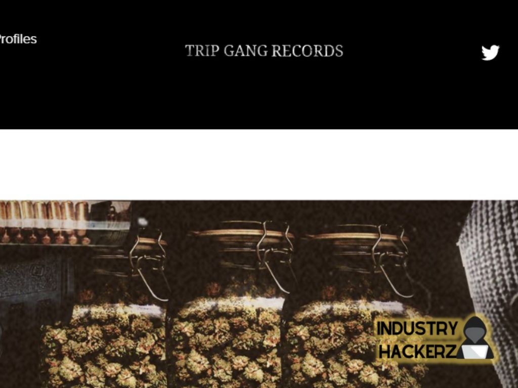 Trip Gang Records (Record Label)