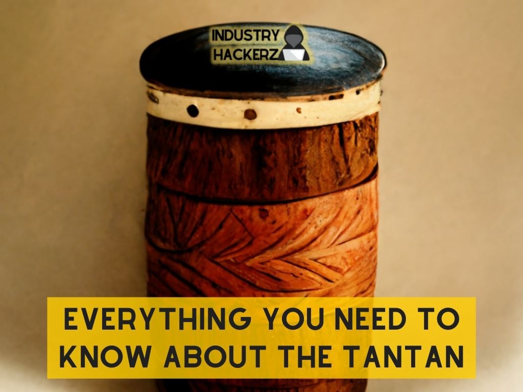 The Tantan: Everything You Need To Know About This Brazilian Music Instrument