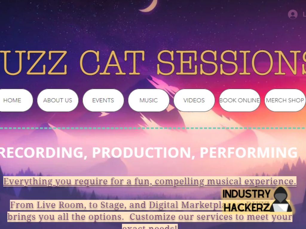 Buzz Cat Sessions
