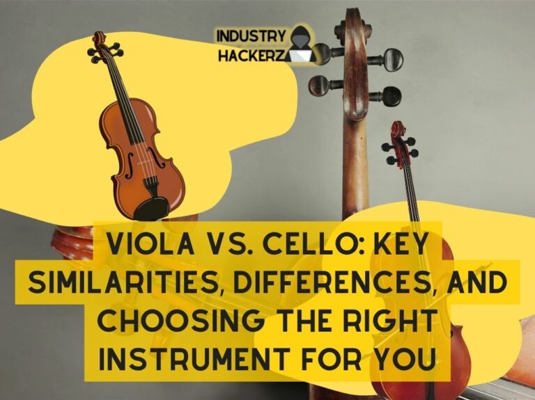 Viola Vs. Cello Key Similarities Differences and Choosing the Right Instrument for You