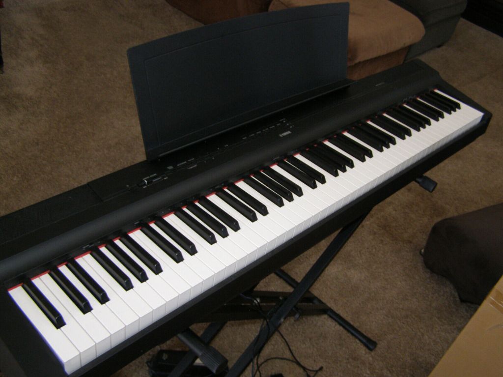 Choosing the Right Digital Piano for Your Experience Level and Goals