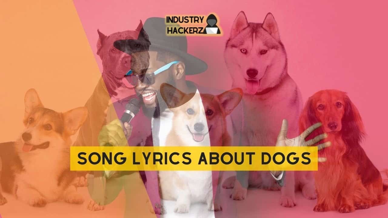 Song Lyrics About Dogs: 100% Free-To-Use Unique, Full Songs About Dogs